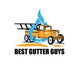 Best Gutter Guys entry by Rentea Robert