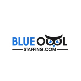 Blue Owl Staffing .com entry by Pintu D