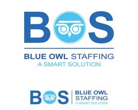 Blue Owl Staffing .com entry by VG