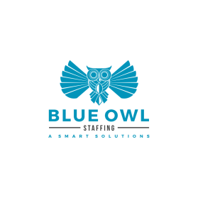 Blue Owl Staffing .com entry by aziz5468aswar