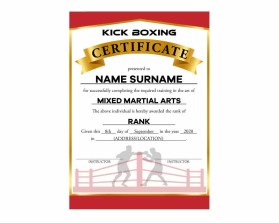 Arena Combat, certificate for rank entry by REY ARAULLO