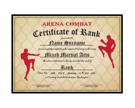 Arena Combat, certificate for rank entry by REY ARAULLO