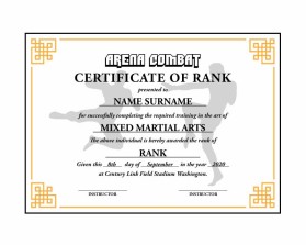 Arena Combat, certificate for rank entry by REY ARAULLO
