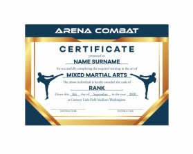 Arena Combat, certificate for rank entry by REY ARAULLO