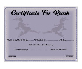 Arena Combat, certificate for rank entry by MD RASHID
