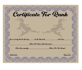 Arena Combat, certificate for rank entry by MD RASHID