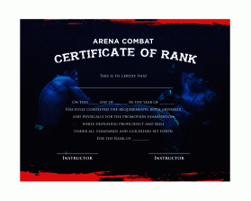 Arena Combat, certificate for rank entry by Joel Bonete