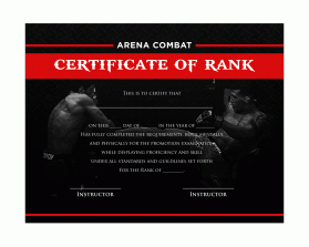 Arena Combat, certificate for rank entry by Joel Bonete