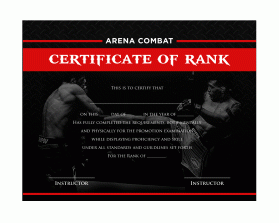 Arena Combat, certificate for rank entry by Joel Bonete