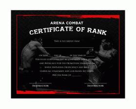 Arena Combat, certificate for rank entry by Joel Bonete
