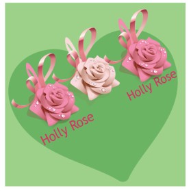 Holly Rose entry by Md Rashid