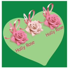 Holly Rose entry by Md Rashid