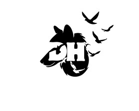 Daniel Houston Productions entry by jade96