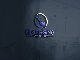 Emerging Ventures entry by MuhammadR