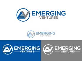 Emerging Ventures entry by Design Rock