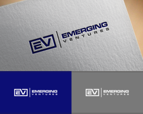 Emerging Ventures entry by alley