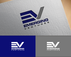 Emerging Ventures entry by alley