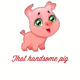 That Handsome Pig entry by Abinandan Joshi