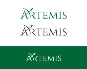 Artemis entry by RGR design
