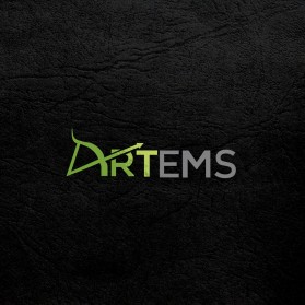 Artemis entry by designway