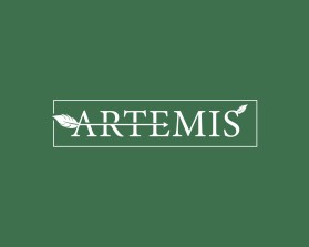 Winning entry: Artemis entry by EdRCreative
