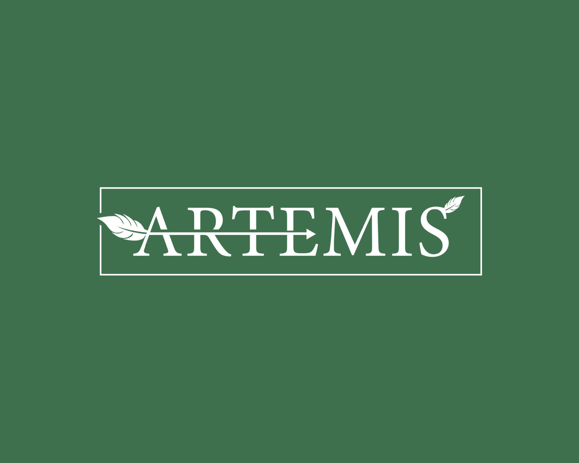 Logo Design for Artemis