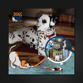 Susan Garrett's Shaped By Dogs Podcast entry by DK Graphics