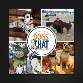 Susan Garrett's Shaped By Dogs Podcast entry by DK Graphics