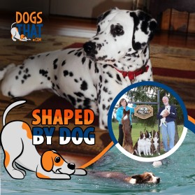 Susan Garrett's Shaped By Dogs Podcast entry by DK Graphics