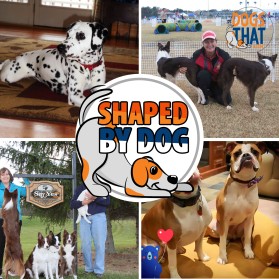 Susan Garrett's Shaped By Dogs Podcast entry by DK Graphics