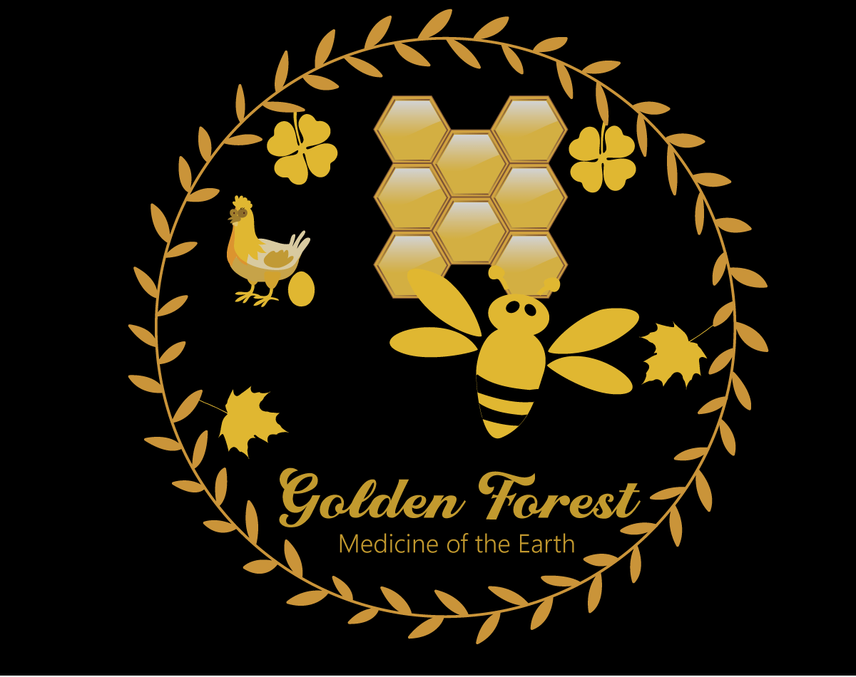 Logo Design entry 1892587 submitted by MD RASHID-27