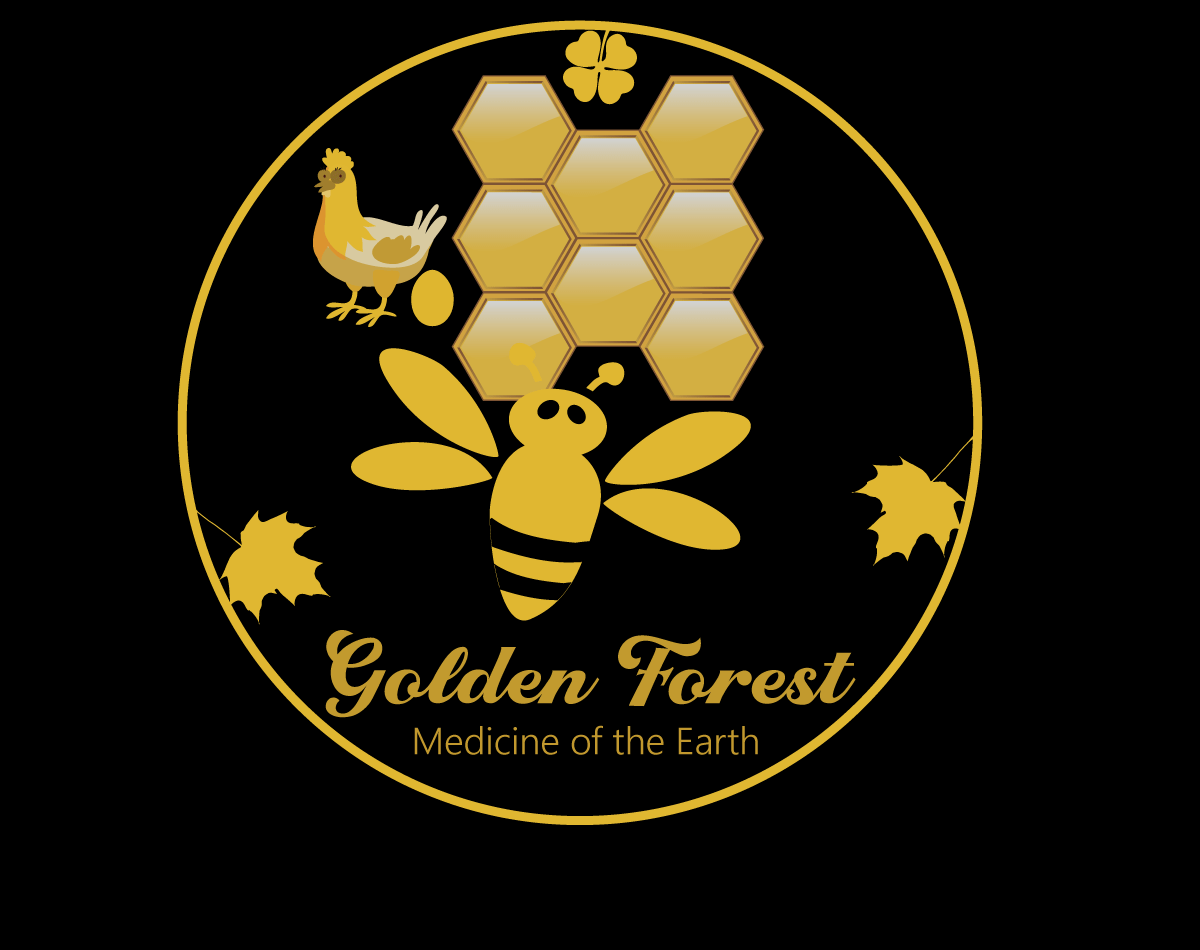 Logo Design entry 1892589 submitted by MD RASHID-27