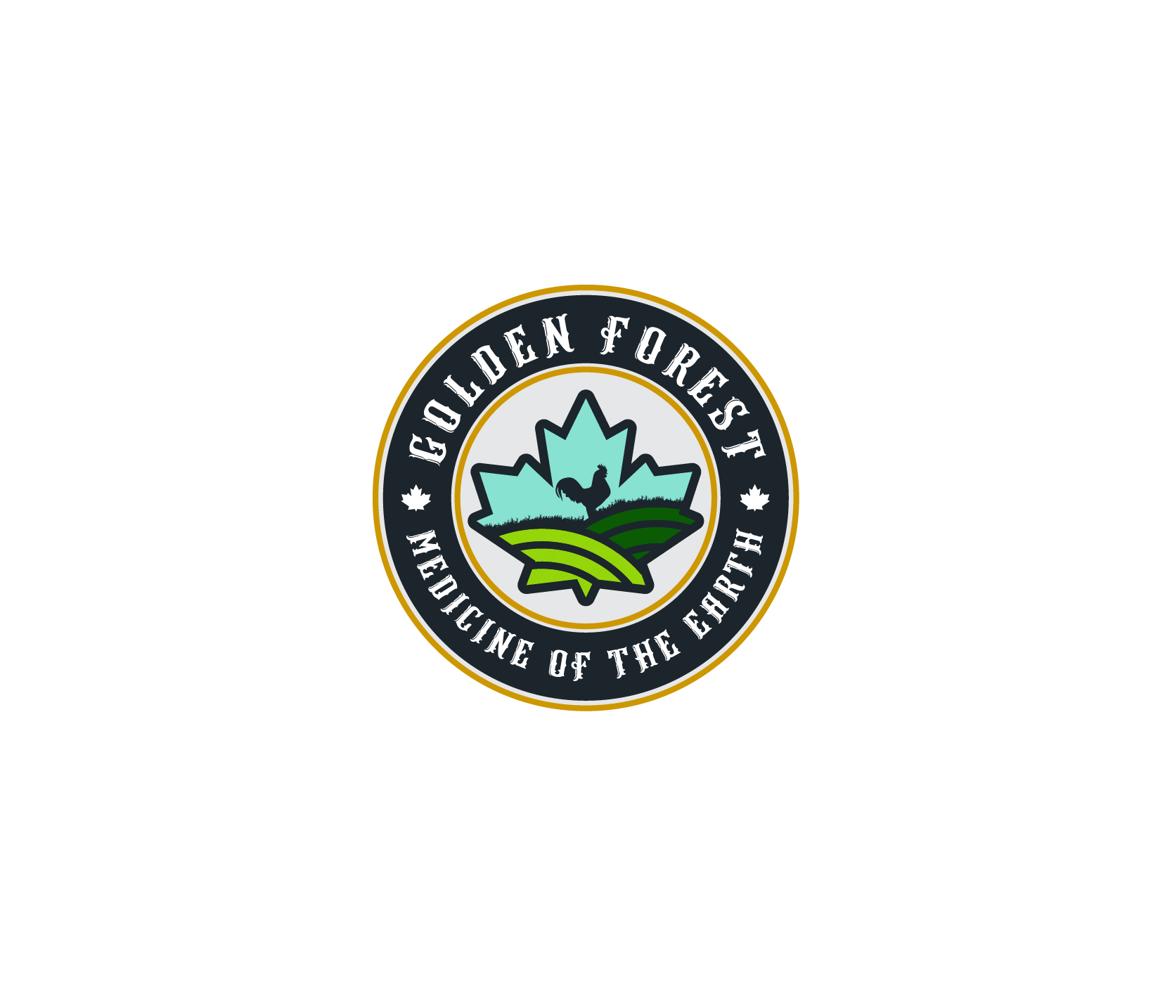 Logo Design entry 1892790 submitted by Dhetyaz