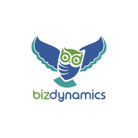Biz Dynmanics entry by Salman