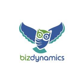 Biz Dynmanics entry by Salman