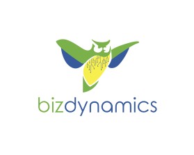 Biz Dynmanics entry by rakzhaw