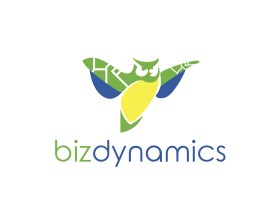 Biz Dynmanics entry by rakzhaw