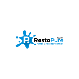 RestoPure.com entry by aziz5468aswar