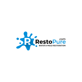 Winning entry: RestoPure.com entry by aziz5468aswar
