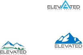 Elevated Business Solutions entry by kevin1998