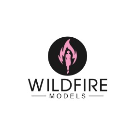 Wildfire Models entry by Salman