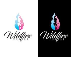 Winning entry: Wildfire Models entry by quimcey