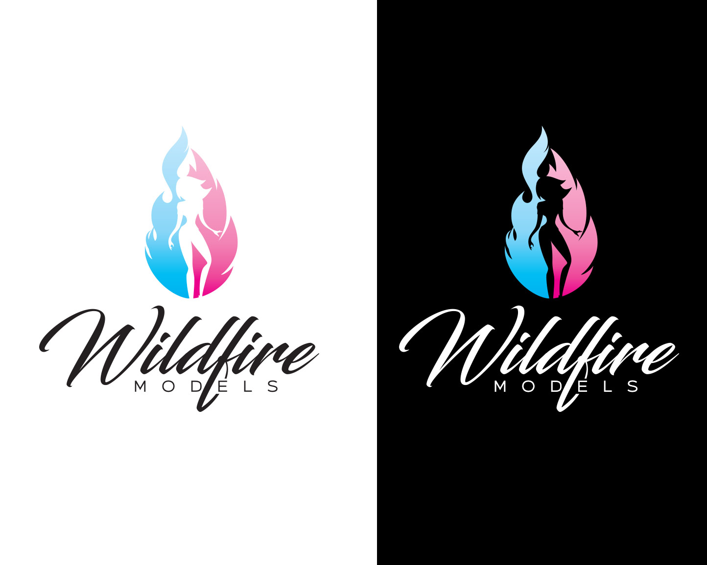 Logo Design for Wildfire Models