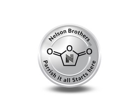 Nelson Brothers LLC entry by Robertino Andjelic