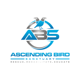 Ascending Bird Sanctuary entry by jannatan