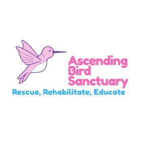 Ascending Bird Sanctuary entry by One Mahreen
