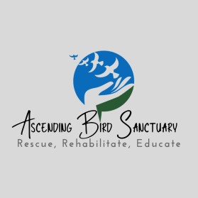 Ascending Bird Sanctuary entry by One Mahreen