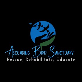 Ascending Bird Sanctuary entry by One Mahreen