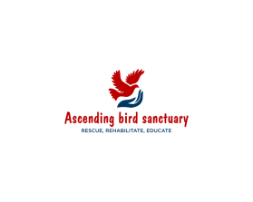 Ascending Bird Sanctuary entry by John_Kopings