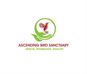 Ascending Bird Sanctuary entry by Tawatchai